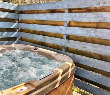 Llanybri Ski Chalet | Wren 8-Hot Tub-Woodland Lodges-St Clears-Carmarthen-Tenby