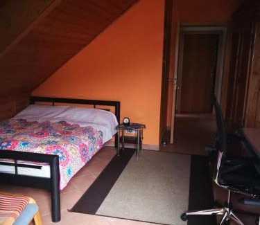 Mainz-Bingen House | Wunderschöne Aussicht garantiert