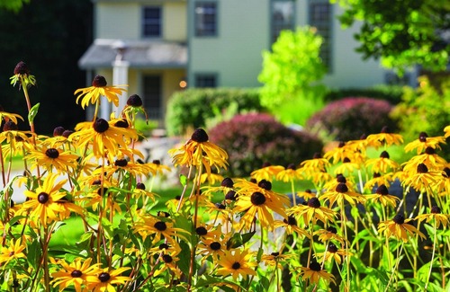 Francestown Condo | Wyndham Crotched Mountain Resort - Comfy 1 Bedroom