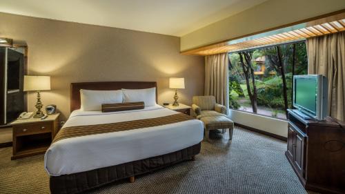 Zona Expo Hotel | Wyndham Garden Guadalajara Expo Plaza del Sol