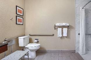 Newark Hotel | Wyndham Garden Newark Fremont Silicon Valley