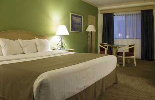 Ciudad Obregon Hotel | Wyndham Garden Obregon