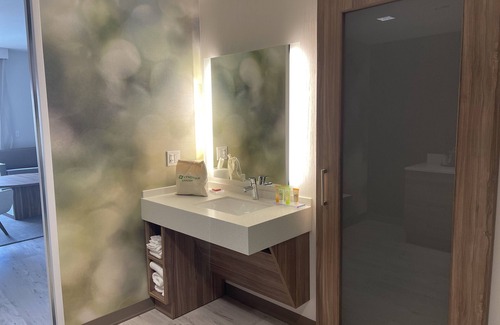 Florida Center Hotel | Wyndham Garden Orlando Universal/I Drive