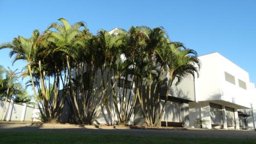 Criciuma Hotel | Xenon Motel (Adult Only)