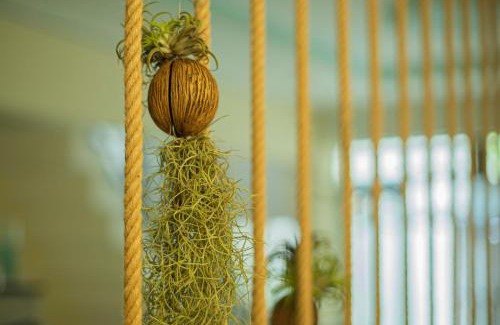 Binh Thanh House | Yên HomeStay Bình Thạnh