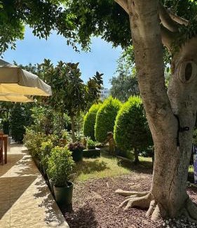 Yalikavak Bed & Breakfast | Yüksel Butik Hotel