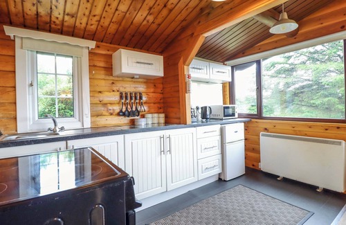 Bronaber Cottage | Y BWTHYN PREN, CABIN 209, pet friendly in Trawsfynydd