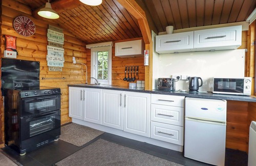 Bronaber Cottage | Y BWTHYN PREN, CABIN 209, pet friendly in Trawsfynydd
