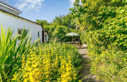 Llanybydder Cottage | Y Cwtch