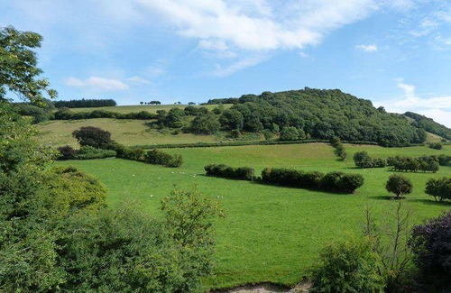 Newcastle-on-Clun Cottage | Y Rhosyn