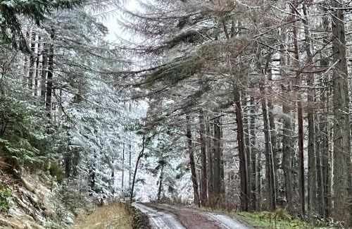 Galashiels Ski Chalet | Yairbrig Holiday