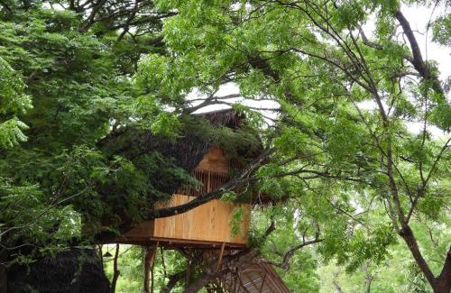 Yodakandiya Cabin | Yala Village Eco Tree House
