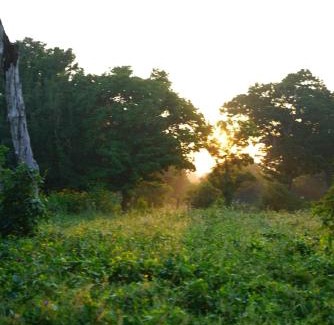 Palatupana Other | Yala Wild House