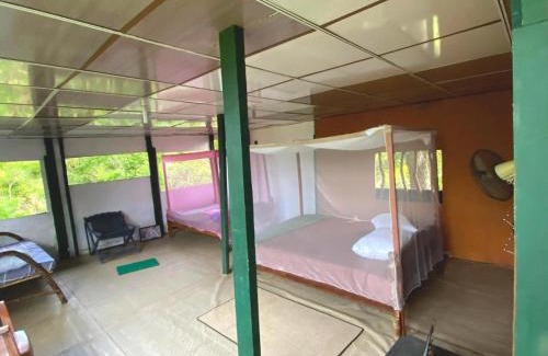 Palatupana Hotel | Yala Wild Tree House