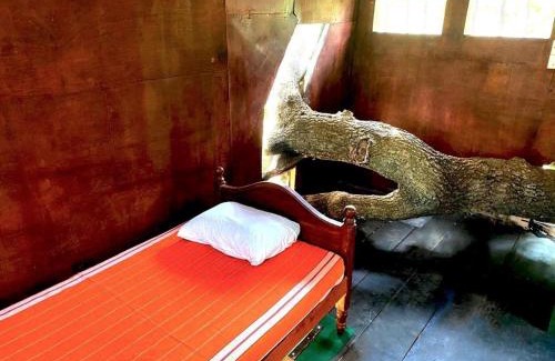 Palatupana Hotel | Yala Wild Tree House