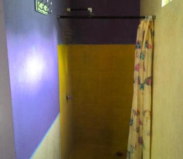 Moyogalpa Other | Yapti wainh