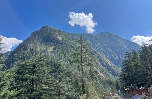 Kasol House | Yashi Kasol Cottage