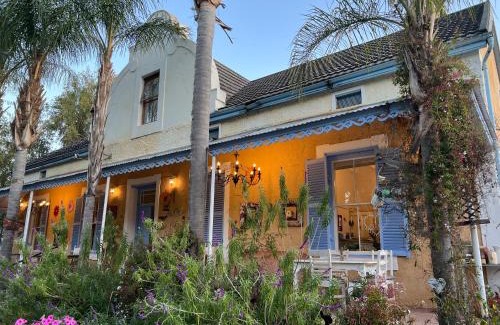 Cederberg House | Yellow Aloe