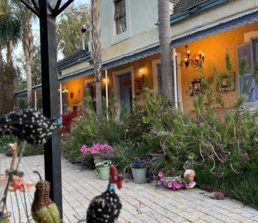 Cederberg House | Yellow Aloe