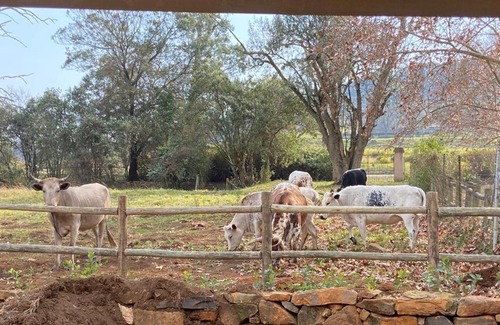 Curry's Post House | Yellowwoods Farm - WILLOUGHBYS COTTAGE and OLD STABLES COTTAGE