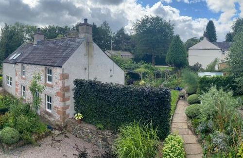 Penrith House | Yew Tree