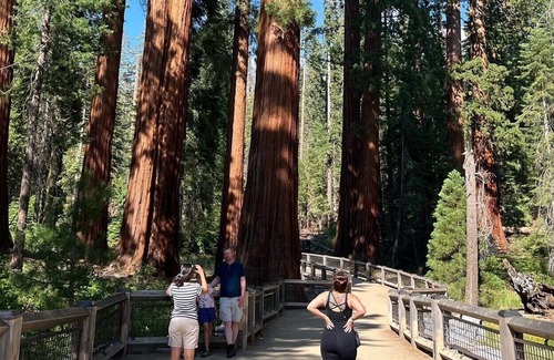 Mariposa Other | Yosemite Farmhouse
