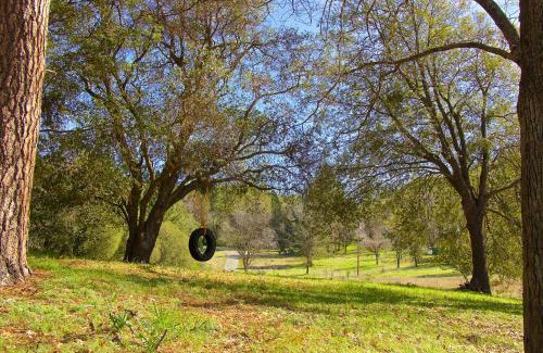 Ahwahnee House | Yosemite Nutter Ranch