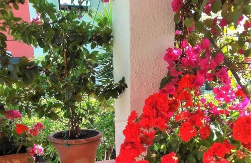 Scauri Apartment | YOU THINK ABOUT HOLIDAYS THE REST WE THINK ABOUT CA 'BIANCA