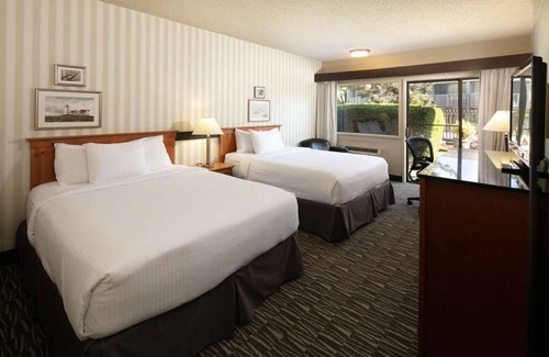West Bellevue Hotel | Your Bellevue Escape Awaits! Pet-friendly Accommodation with Complimentary BFast