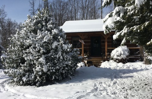 Mount Airy Cabin | Your Mayberry Get-a-Way Cabin- Only 6 miles from Downtown Mount Airy