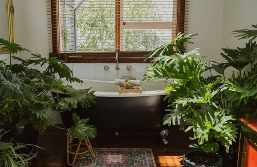 Mount Melville House | Your Sanctuary in the City of Albany