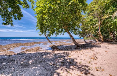 Puerto Viejo de Talamanca Hotel | Yucca Beachfront Hotel