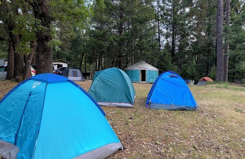 Cedar Ridge RV Rental | Yurt and Camp Site - Perfect for Large Groups