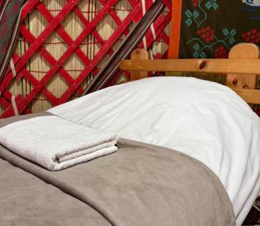 Karakol Bed & Breakfast | Yurt stay in downtown