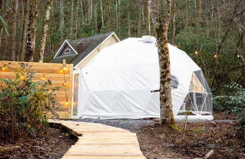 Brevard Apartment | Yurt Stay - Sauna - Creek View - Firepit