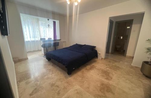 Ramnicu Valcea Apartment | Ywa