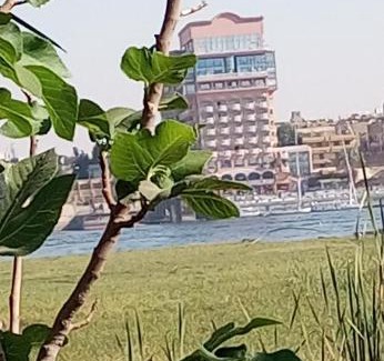 Luxor Hotel | ZAHRA GUEST House