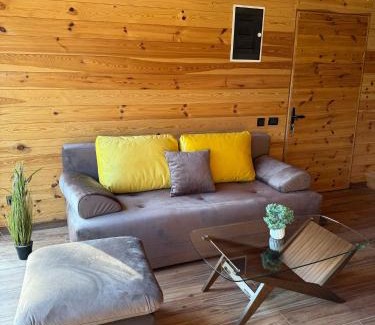 Bajina Basta Villa | Zaovinska idila