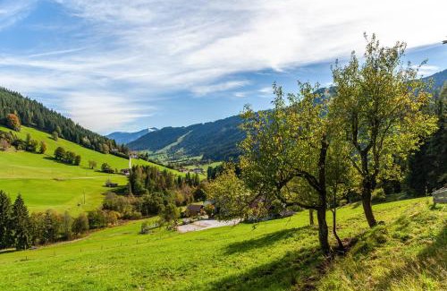 Wildschoenau Apartment | Zauberhütte Wildschönau