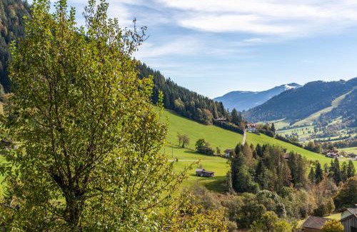 Wildschoenau Apartment | Zauberhütte Wildschönau