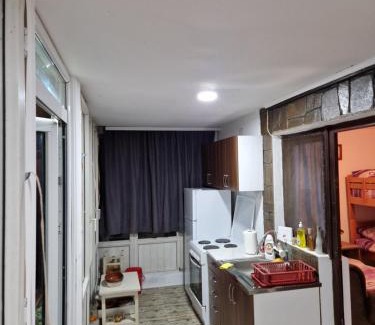 Stara Planina House | Zavojsko jezero - kuća Mitić