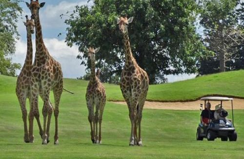 Leeupoort House | Zebula 1 Pela Lodge, 2-bedroom cottage