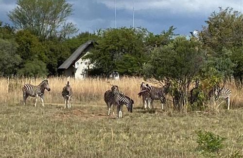 Leeupoort Villa | Zebula Golf and Wildlife Estate - Bushveld Bliss Pax 14 - Moi Signature Luxury villa