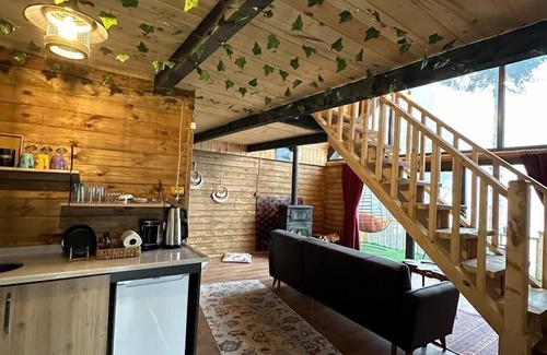 Ayder Ski Chalet | Zekeriyaköy Dağevi