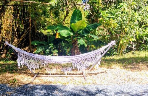 Rio Grande Other | Zen Den