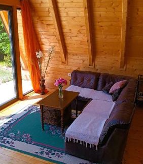 Resnik Ski Chalet | ZenFrame Cabin