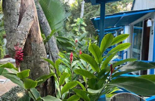 Chetumal Hotel | Zensus Eco Boutique Hotel