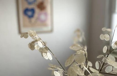 Frohnhausen Apartment | Zentral wohnen in ruhiger Lage! MA2R