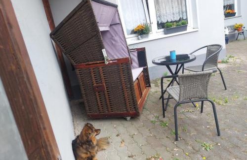 Bergen auf Ruegen Apartment | Zentrale Ferienwohnung in Bergen auf Rügen