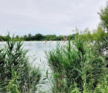 Ostorf Apartment | zentrale Ferienwohnung - direkt am See und in Schlossnähe